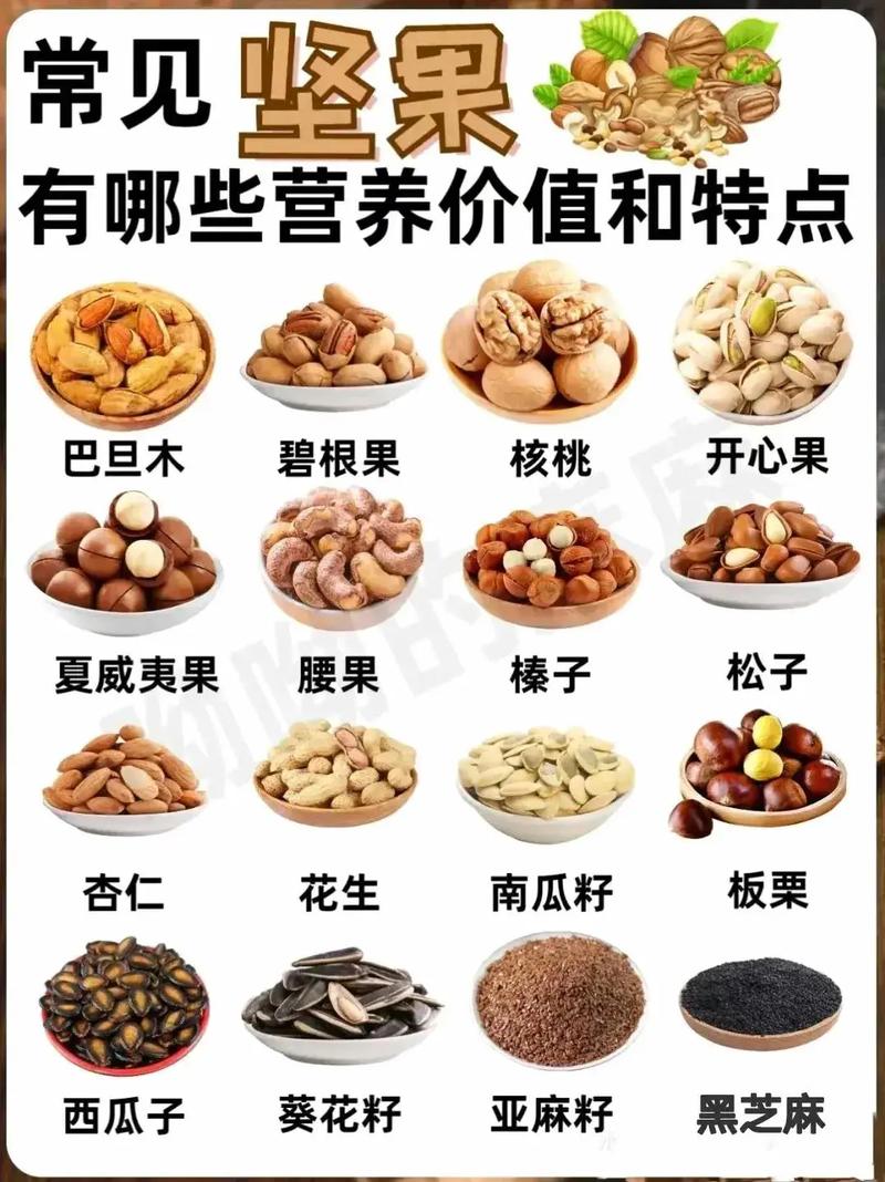 常見堅果的營養(yǎng)寶庫 揭秘小小堅果的健康密碼